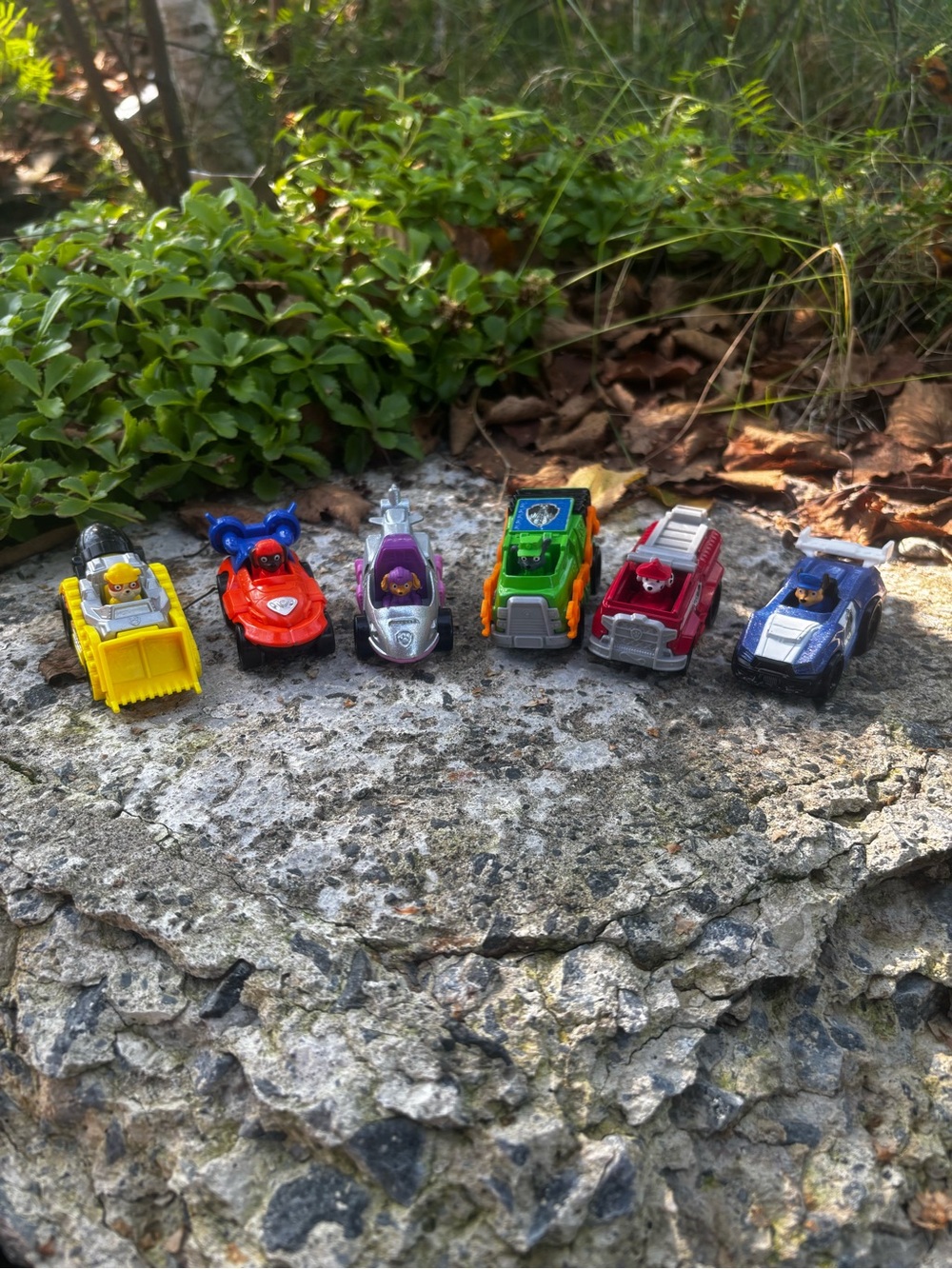 Paw patrol collection metal